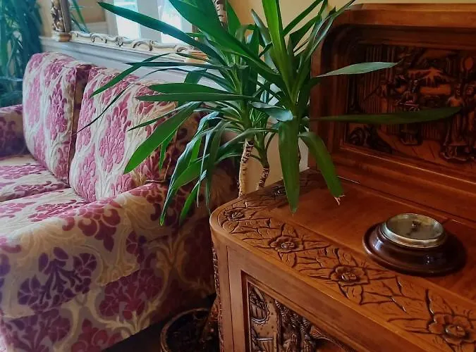 호텔 Mount Pleasant