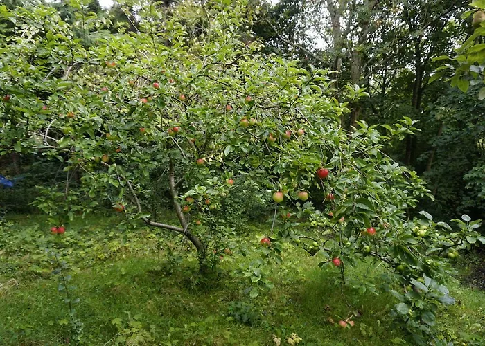 Mount Pleasant 호텔